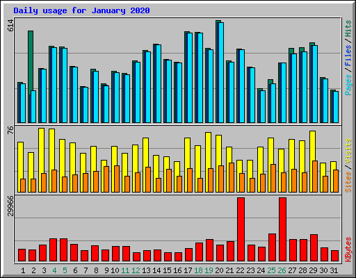 Daily usage for January 2020