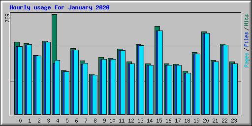 Hourly usage for January 2020