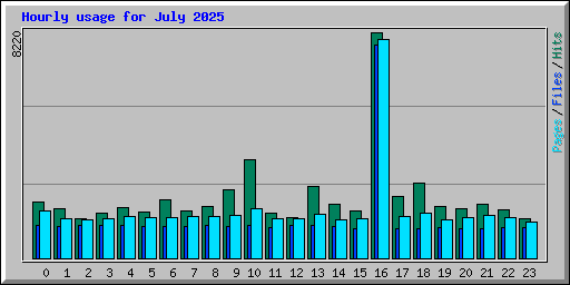 Hourly usage for July 2025